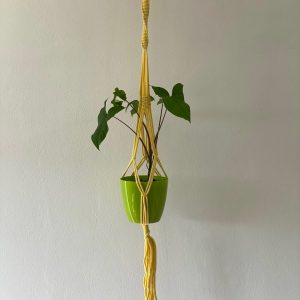 tangled-yellow