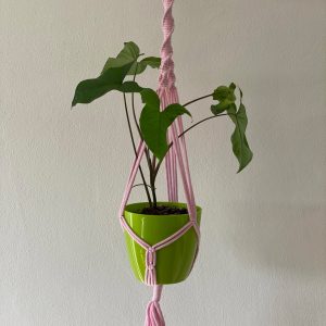 baby-pink