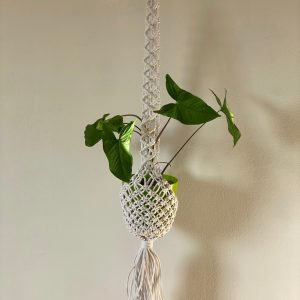 white-cocoon
