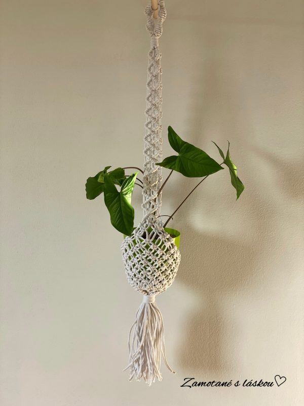 white-cocoon